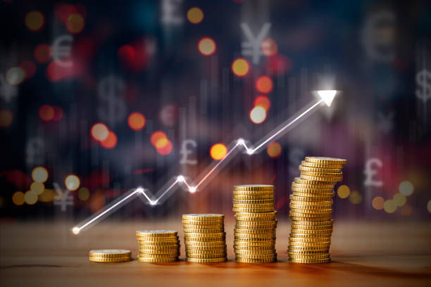 外资资金在武汉公司中的资金流向如何监控？
